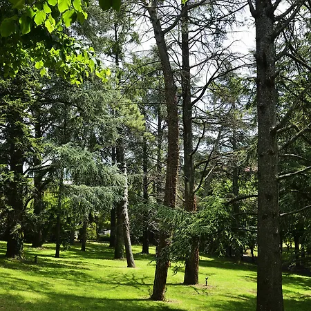 Hotell Grand Palazzo Della Fonte 5*